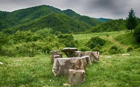 Aleu - Apuseni Mountains
