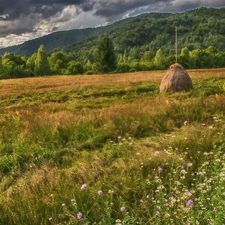 Aleu - Apuseni Mountains Villa Vasaskőfalva Kültér fotó