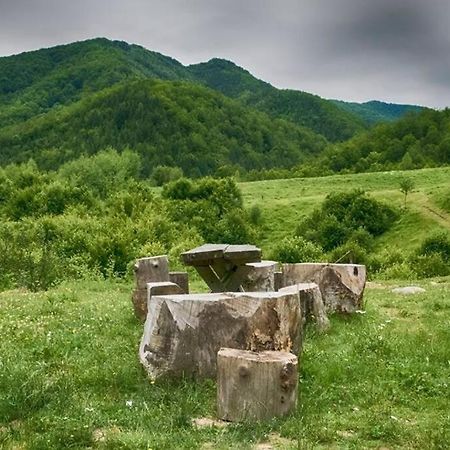 Aleu - Apuseni Mountains Villa Vasaskőfalva Kültér fotó