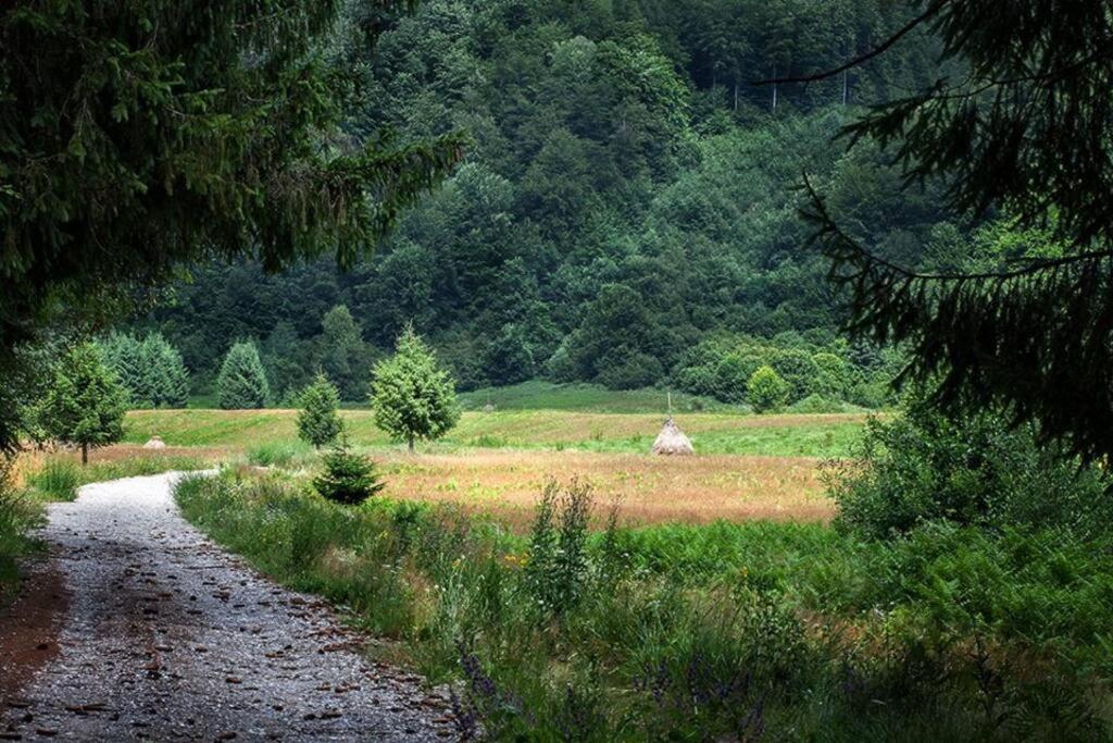 Aleu - Apuseni Mountains Villa Vasaskőfalva Kültér fotó