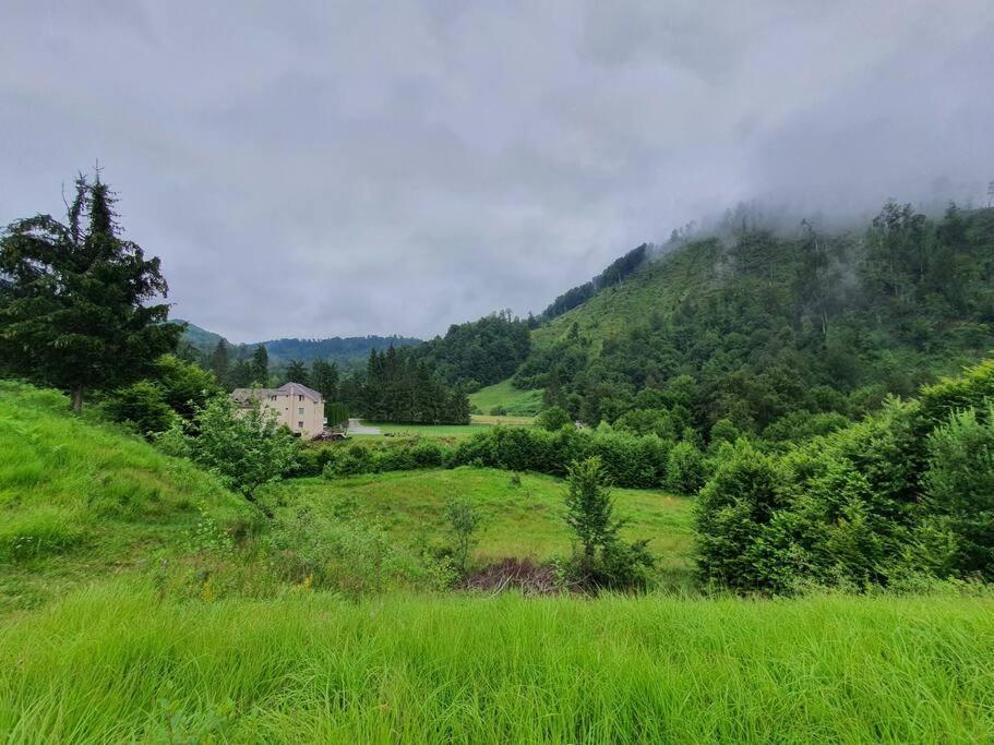 Aleu - Apuseni Mountains Villa Vasaskőfalva Kültér fotó