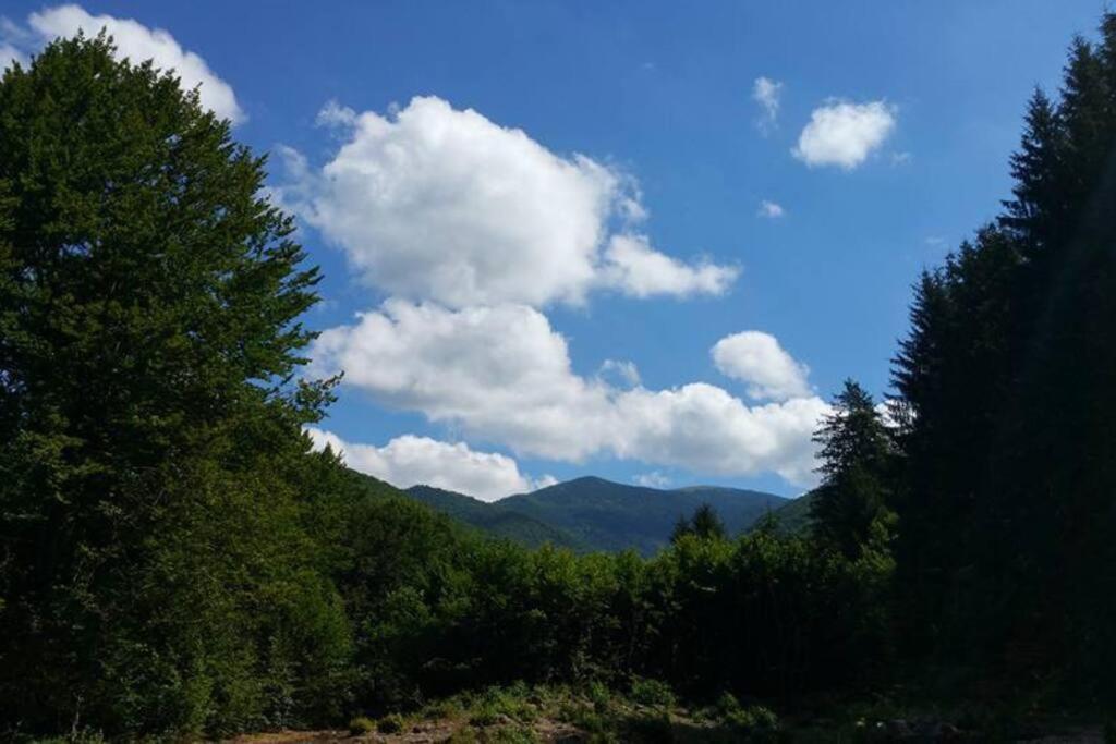 Aleu - Apuseni Mountains Villa Vasaskőfalva Kültér fotó