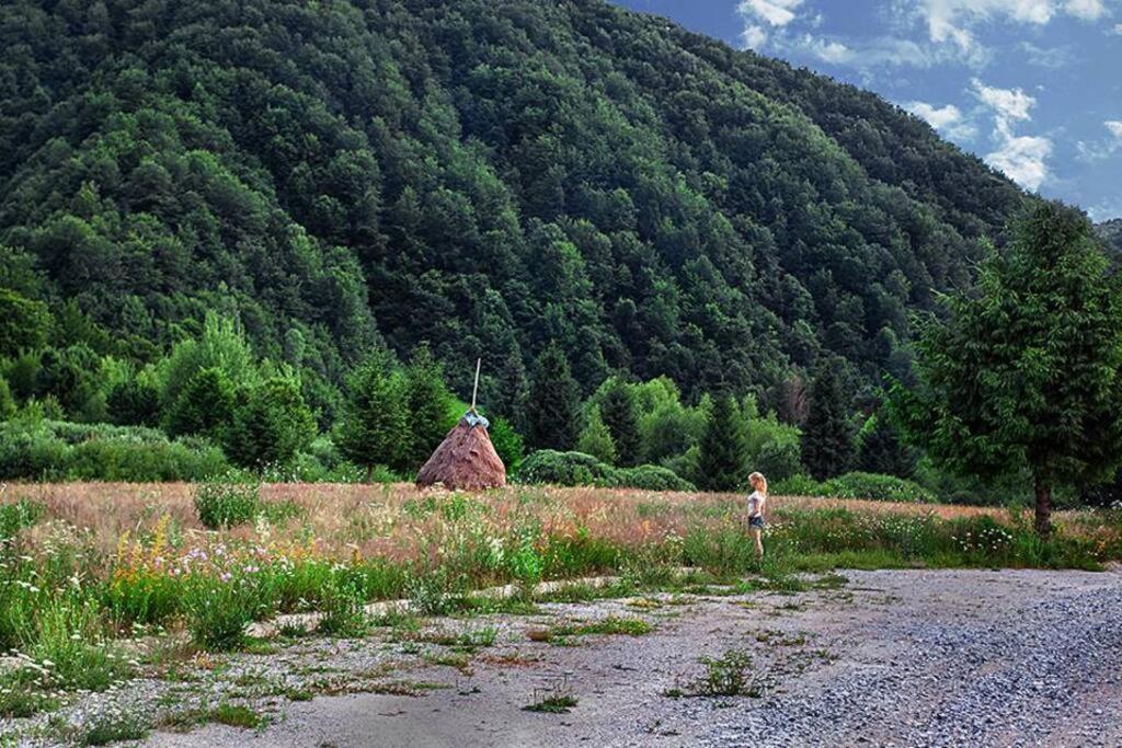 Aleu - Apuseni Mountains Villa Vasaskőfalva Kültér fotó