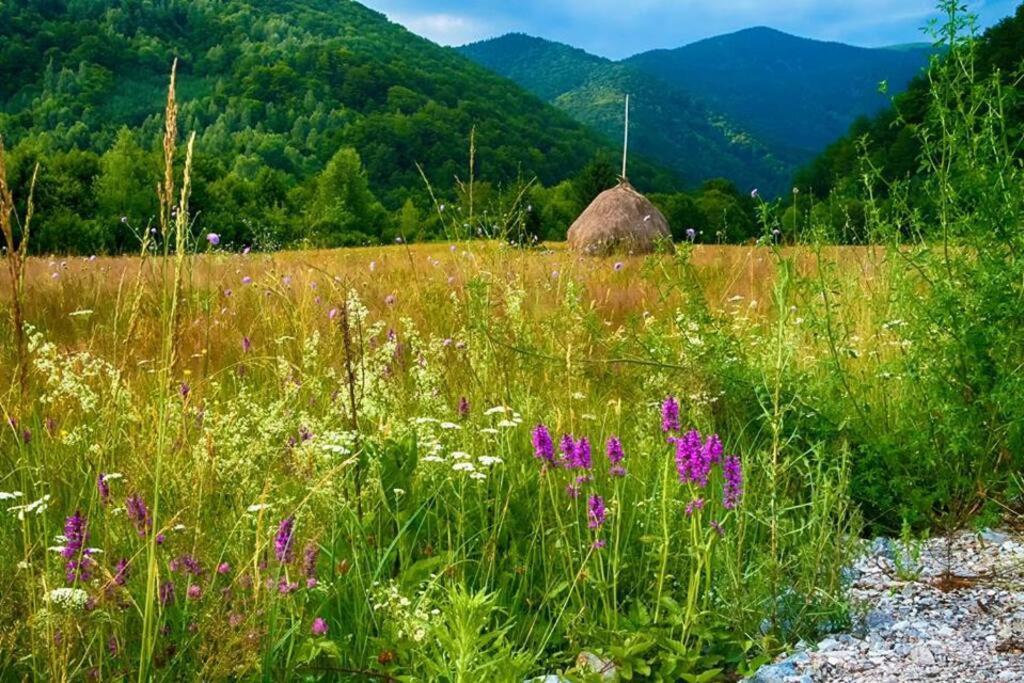 Aleu - Apuseni Mountains Villa Vasaskőfalva Kültér fotó